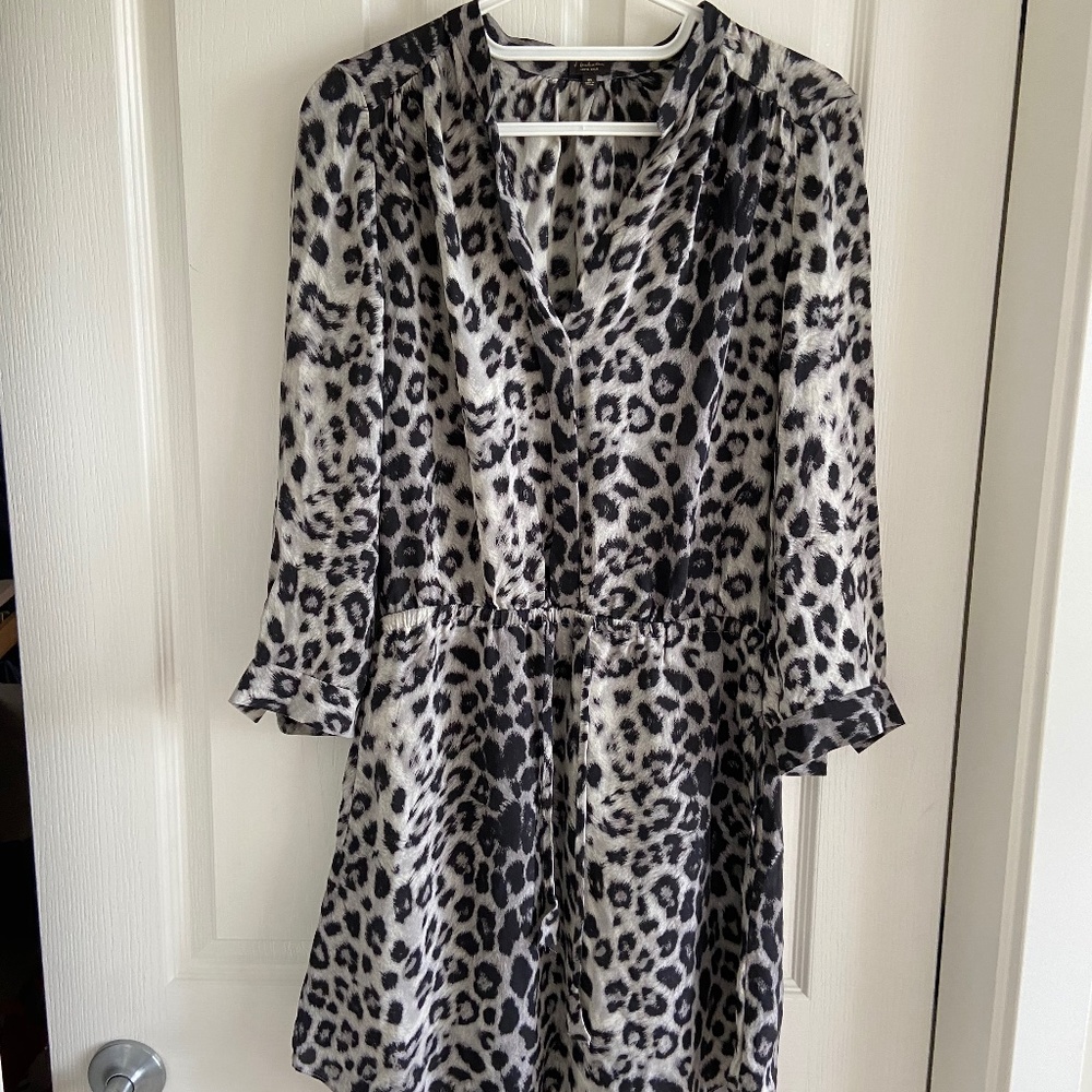 Babaton leopard silk dress